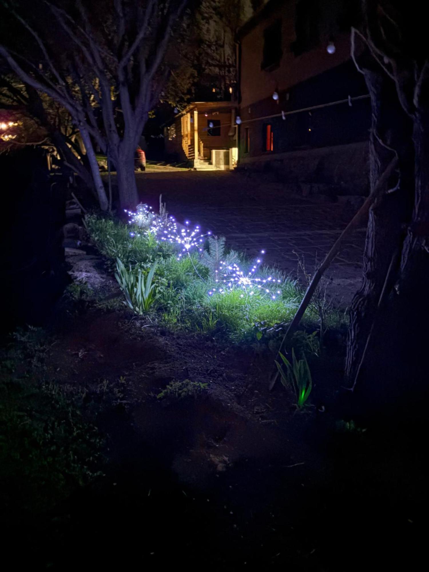 Old Byurakan Gouest House エクステリア 写真